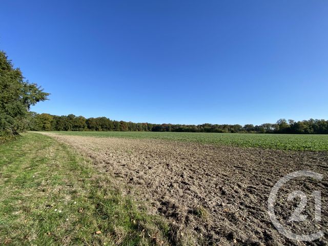 maison à vendre - 4 pièces - 180.0 m2 - 18 - CENTRE - Century 21 Sologne Immobilier