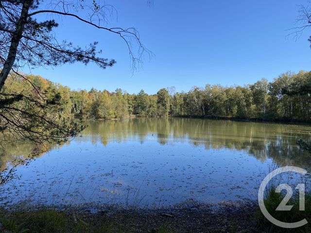 maison à vendre - 4 pièces - 180.0 m2 - 18 - CENTRE - Century 21 Sologne Immobilier