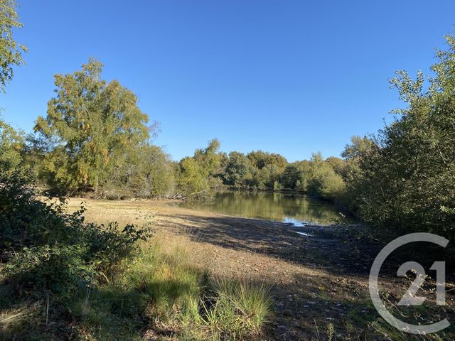 maison à vendre - 4 pièces - 180.0 m2 - 18 - CENTRE - Century 21 Sologne Immobilier