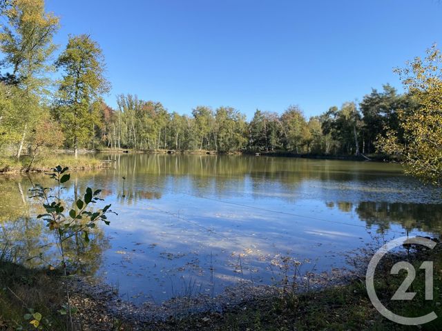 maison à vendre - 4 pièces - 180.0 m2 - 18 - CENTRE - Century 21 Sologne Immobilier
