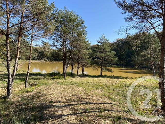 maison à vendre - 4 pièces - 180.0 m2 - 18 - CENTRE - Century 21 Sologne Immobilier