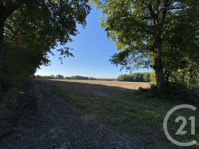 maison à vendre - 4 pièces - 180.0 m2 - 18 - CENTRE - Century 21 Sologne Immobilier