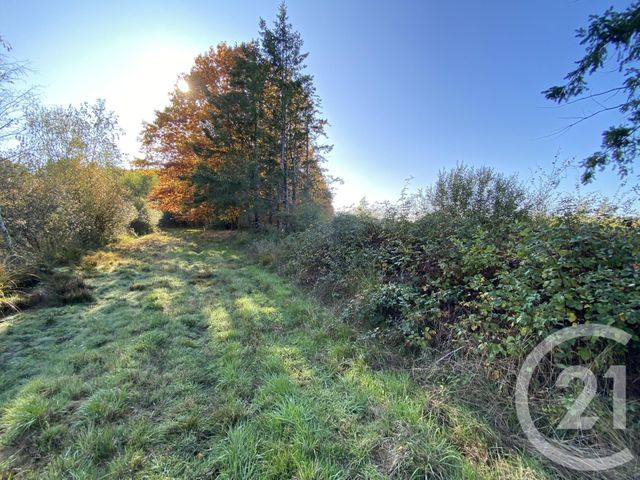 maison à vendre - 4 pièces - 180.0 m2 - 18 - CENTRE - Century 21 Sologne Immobilier