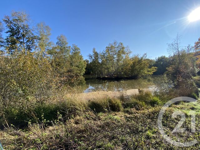 maison à vendre - 4 pièces - 180.0 m2 - 18 - CENTRE - Century 21 Sologne Immobilier