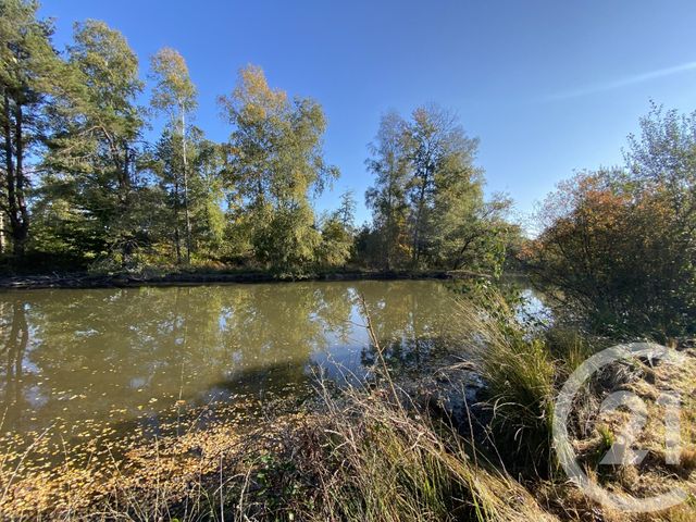 maison à vendre - 4 pièces - 180.0 m2 - 18 - CENTRE - Century 21 Sologne Immobilier