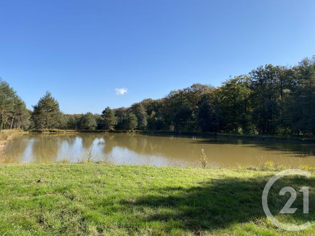 maison à vendre - 4 pièces - 180.0 m2 - 18 - CENTRE - Century 21 Sologne Immobilier