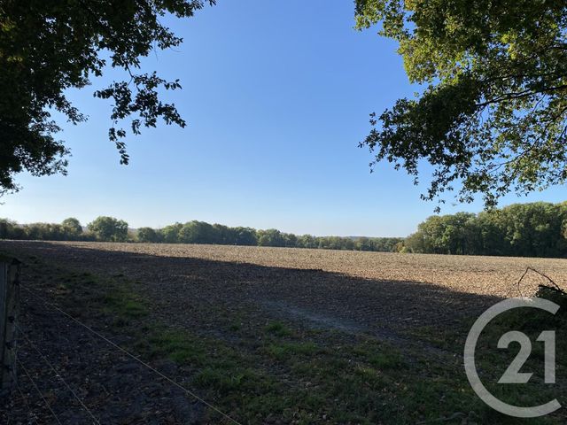 maison à vendre - 4 pièces - 180.0 m2 - 18 - CENTRE - Century 21 Sologne Immobilier