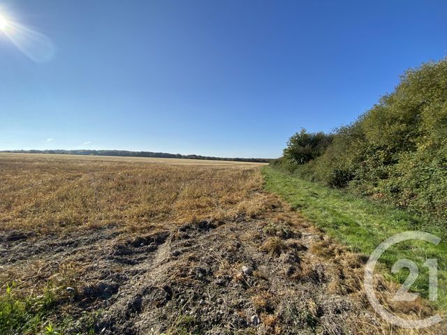 maison à vendre - 4 pièces - 180.0 m2 - 18 - CENTRE - Century 21 Sologne Immobilier