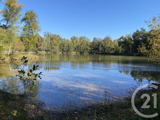 maison à vendre - 4 pièces - 180.0 m2 - 18 - CENTRE - Century 21 Sologne Immobilier