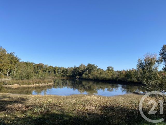 maison à vendre - 4 pièces - 180.0 m2 - 18 - CENTRE - Century 21 Sologne Immobilier