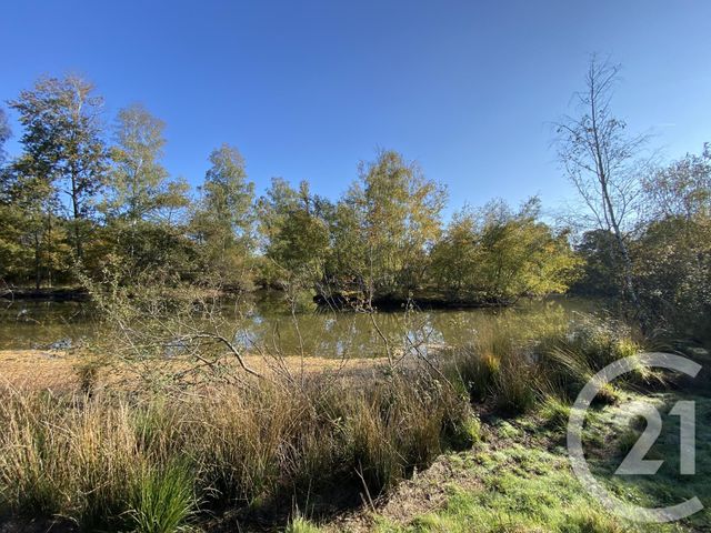 maison à vendre - 4 pièces - 180.0 m2 - 18 - CENTRE - Century 21 Sologne Immobilier