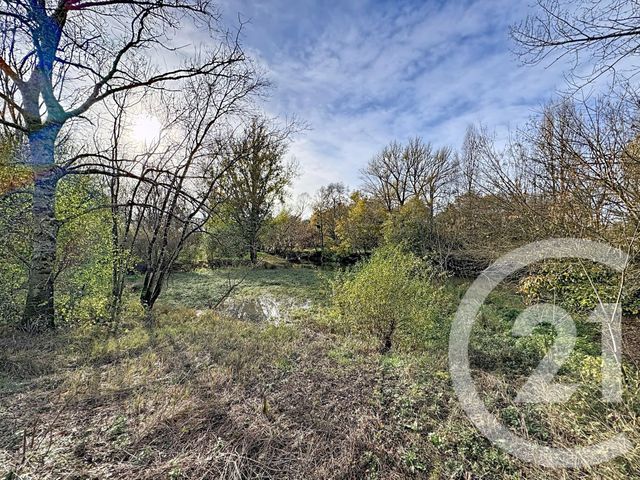 terrain à vendre - 4840.0 m2 - BILLY - 41 - CENTRE - Century 21 Sologne Immobilier