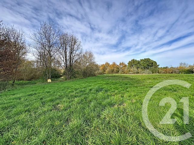 terrain à vendre - 4840.0 m2 - BILLY - 41 - CENTRE - Century 21 Sologne Immobilier