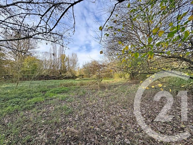 terrain à vendre - 4840.0 m2 - BILLY - 41 - CENTRE - Century 21 Sologne Immobilier