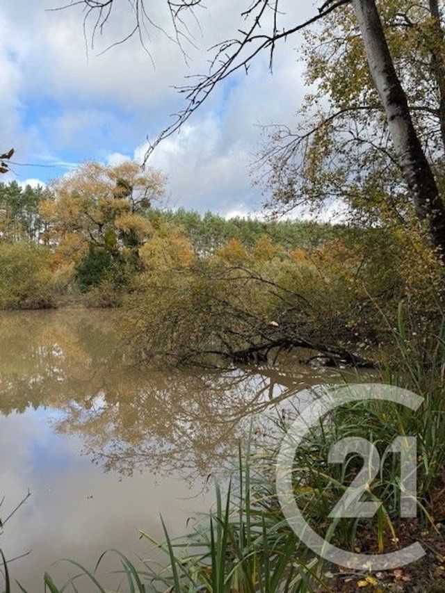 terrain à vendre - 56730.0 m2 - LASSAY SUR CROISNE - 41 - CENTRE - Century 21 Sologne Immobilier