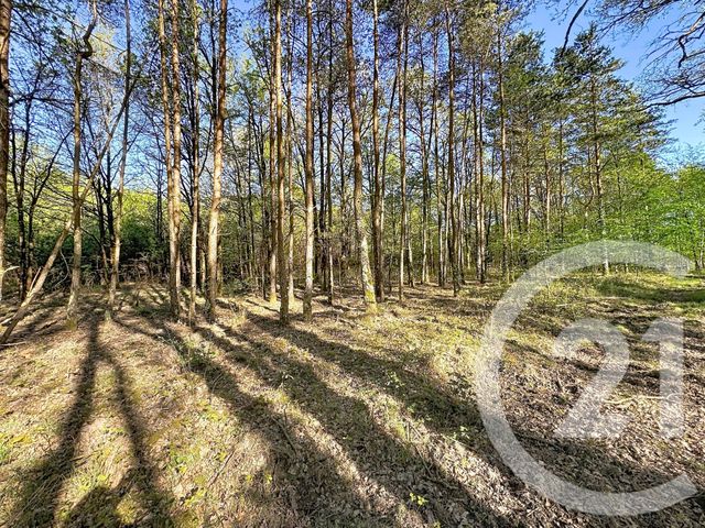 terrain à vendre - 56730.0 m2 - LASSAY SUR CROISNE - 41 - CENTRE - Century 21 Sologne Immobilier