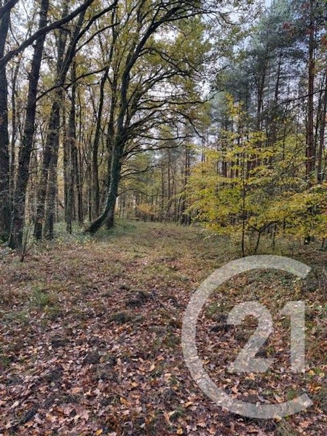 terrain à vendre - 56730.0 m2 - LASSAY SUR CROISNE - 41 - CENTRE - Century 21 Sologne Immobilier