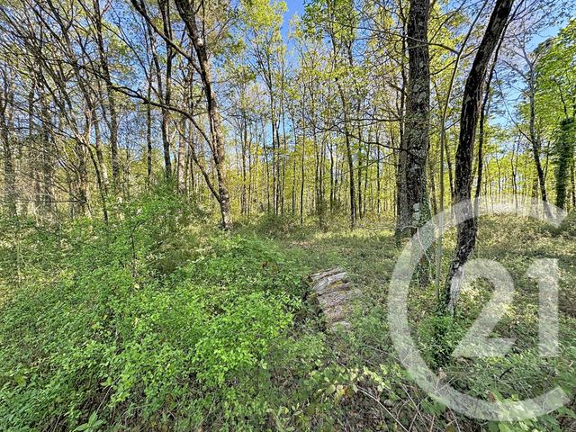 terrain à vendre - 56730.0 m2 - LASSAY SUR CROISNE - 41 - CENTRE - Century 21 Sologne Immobilier