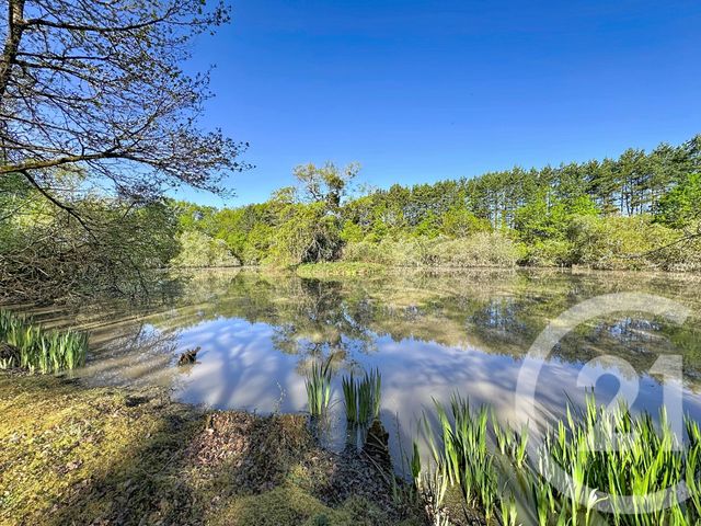 terrain à vendre - 56730.0 m2 - LASSAY SUR CROISNE - 41 - CENTRE - Century 21 Sologne Immobilier