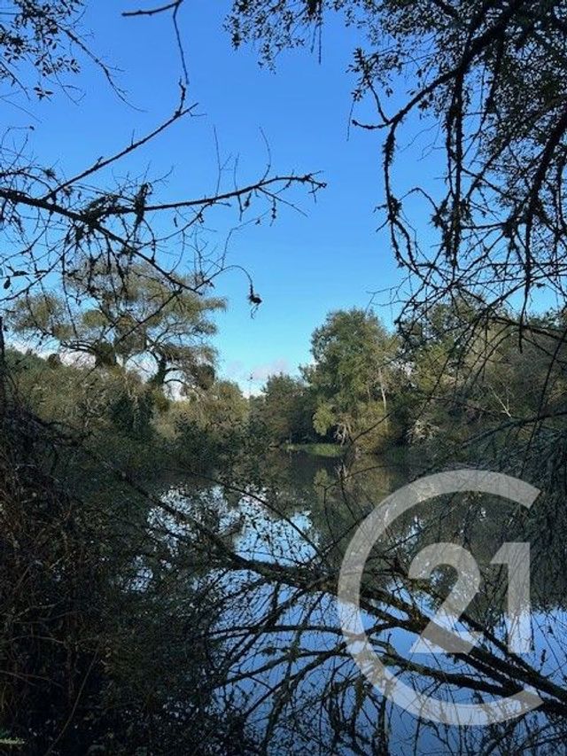 terrain à vendre - 56730.0 m2 - LASSAY SUR CROISNE - 41 - CENTRE - Century 21 Sologne Immobilier