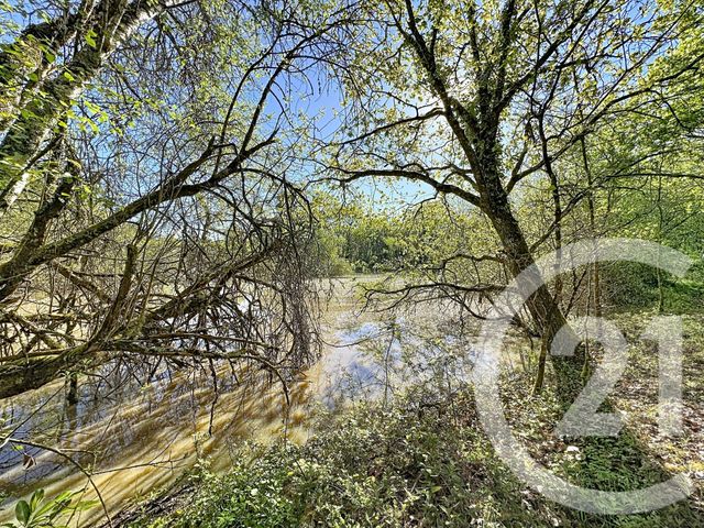 terrain à vendre - 56730.0 m2 - LASSAY SUR CROISNE - 41 - CENTRE - Century 21 Sologne Immobilier