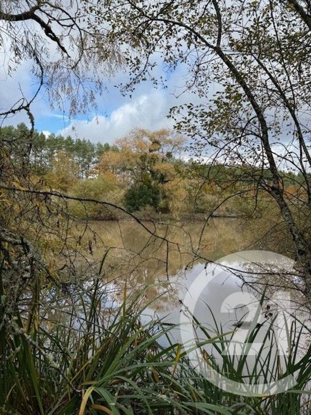 terrain à vendre - 56730.0 m2 - LASSAY SUR CROISNE - 41 - CENTRE - Century 21 Sologne Immobilier