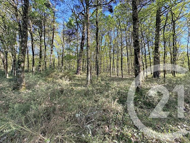 terrain à vendre - 56730.0 m2 - LASSAY SUR CROISNE - 41 - CENTRE - Century 21 Sologne Immobilier