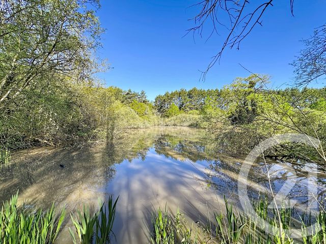 terrain à vendre - 56730.0 m2 - LASSAY SUR CROISNE - 41 - CENTRE - Century 21 Sologne Immobilier