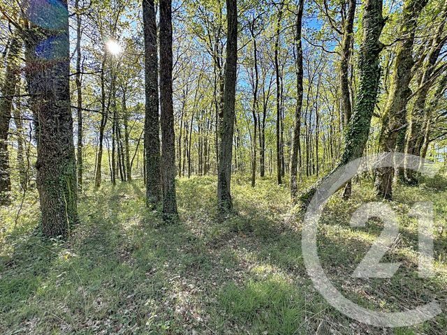 terrain à vendre - 56730.0 m2 - LASSAY SUR CROISNE - 41 - CENTRE - Century 21 Sologne Immobilier