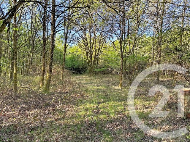 terrain à vendre - 56730.0 m2 - LASSAY SUR CROISNE - 41 - CENTRE - Century 21 Sologne Immobilier
