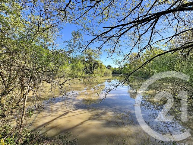 terrain à vendre - 56730.0 m2 - LASSAY SUR CROISNE - 41 - CENTRE - Century 21 Sologne Immobilier
