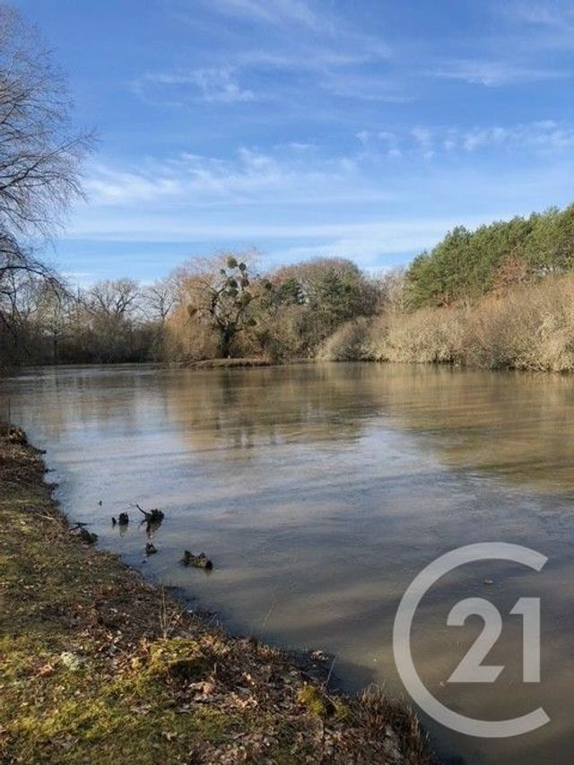 terrain à vendre - 56730.0 m2 - LASSAY SUR CROISNE - 41 - CENTRE - Century 21 Sologne Immobilier