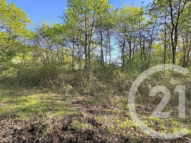 terrain à vendre - 56730.0 m2 - LASSAY SUR CROISNE - 41 - CENTRE - Century 21 Sologne Immobilier