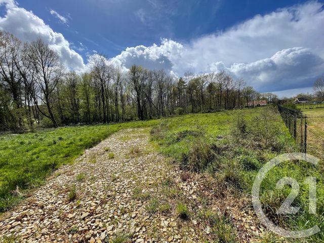 terrain à vendre - 6804.0 m2 - VILLEFRANCHE SUR CHER - 41 - CENTRE - Century 21 Sologne Immobilier