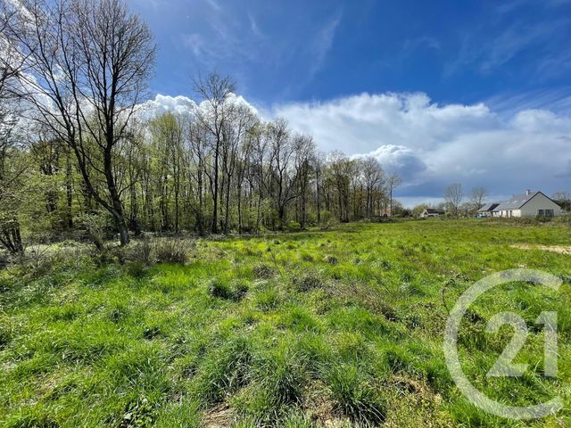 terrain à vendre - 6804.0 m2 - VILLEFRANCHE SUR CHER - 41 - CENTRE - Century 21 Sologne Immobilier