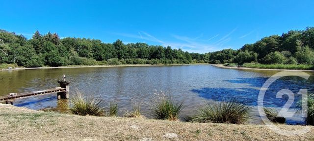 terrain à vendre - 80690.0 m2 - VEILLEINS - 41 - CENTRE - Century 21 Sologne Immobilier