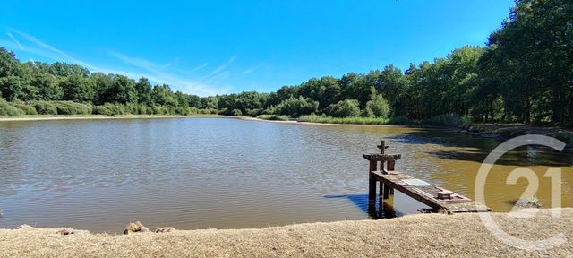 terrain à vendre - 80690.0 m2 - VEILLEINS - 41 - CENTRE - Century 21 Sologne Immobilier