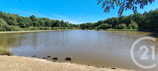 terrain à vendre - 80690.0 m2 - VEILLEINS - 41 - CENTRE - Century 21 Sologne Immobilier